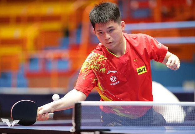 却仍感受到 却仍感受到